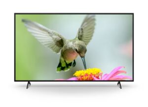 Sony BRAVIA BZ40L Serie ist in verschiedenen Größen und Formen erhältlich von 55 bis 85 Zoll