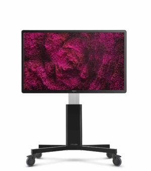 CTOUCH Riva