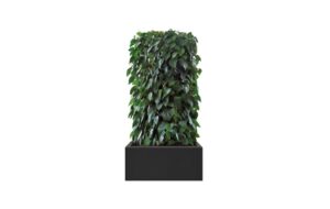art aqua grüne Hecke: Der Hecke Raumteiler dient als natürliche Trennwand, die Räume in verschiedene Zonen unterteilt und gleichzeitig begrünt