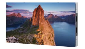 Mit seiner ultrahohen Helligkeit, exzellenten Farbtreue und flexiblen Bauweise setzt der Sony ZRD-BH12D neue Maßstäbe für großformatige LED-Displays. Ob für Konferenzräume, Digital Signage oder exklusive Präsentationen – dieses Display liefert eine herausragende visuelle Performance in jeder Umgebung.