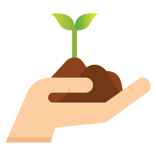 Pflanzensprössling in Hand