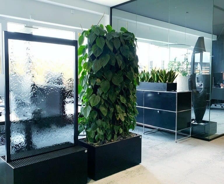 artaqua-glas-wasser-wand-raumteiler-hecke artaqua Raumteiler und Wasserwand aus Glas als Kombination.