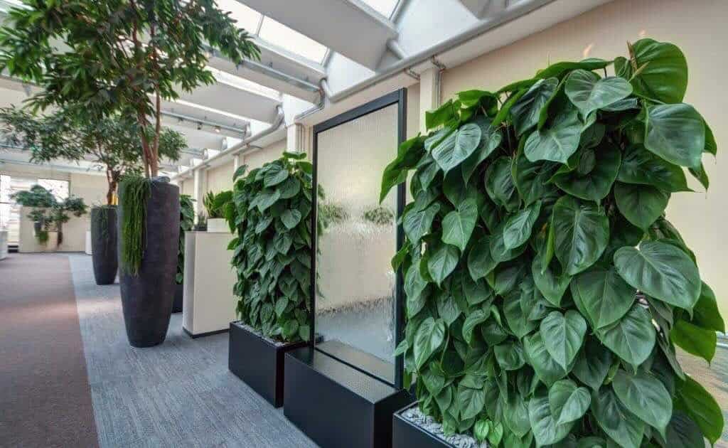 artaqua-glas-wasserwand artaqua Wasserwand aus Glas, besonders neben einer Pflanzenwand oder Pflanzendekoration ein absolutes Highlight. Fördert das Wohlbefinden und Raumklima.