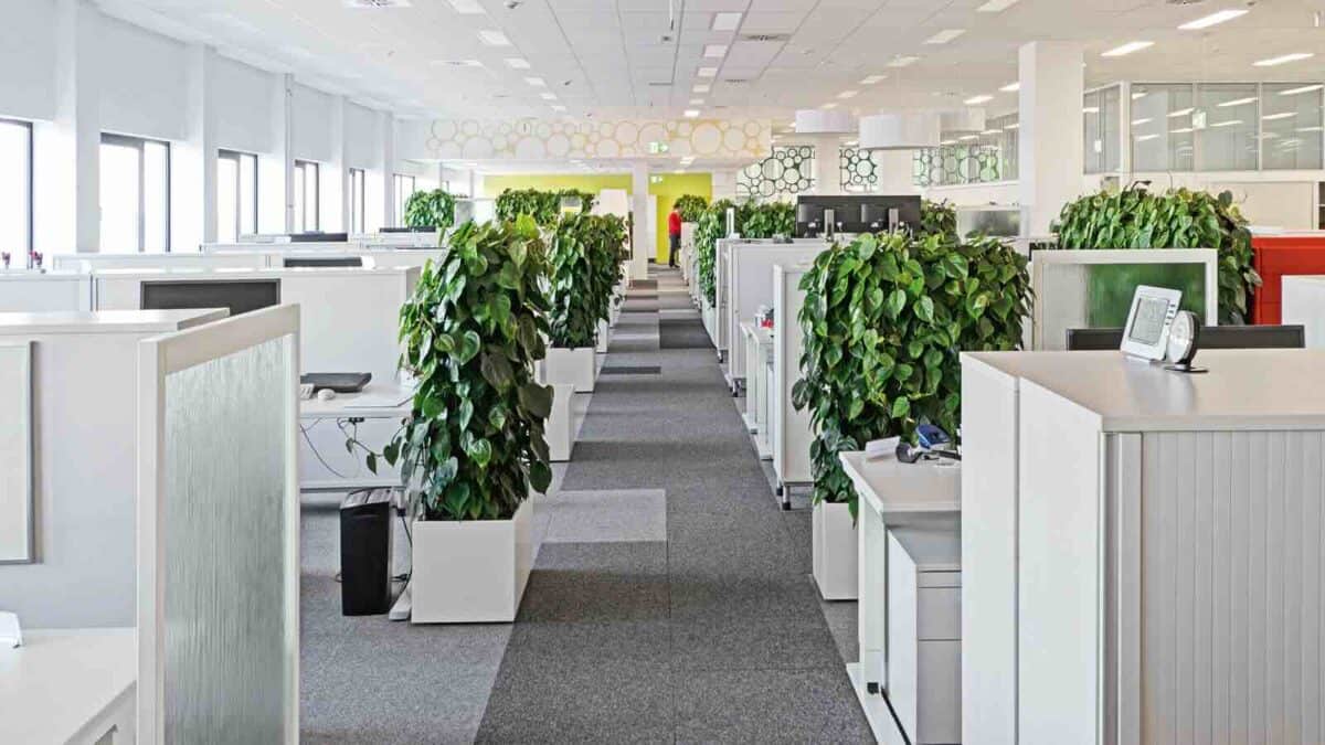 art aqua Hecke: Durch die Pflanzen wird die Luftqualität verbessert, da sie Schadstoffe binden und die Luftfeuchtigkeit erhöhen. Die grüne Hecke bringt ein Stück Natur ins Haus oder Büro, was das Wohlbefinden der Menschen fördert.