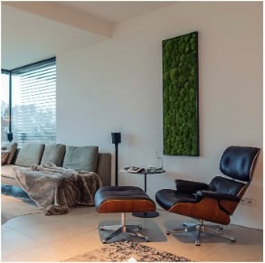 art aqua Moosbild Hügelmoos für ein verbessertes Raumklima & Raumakustik