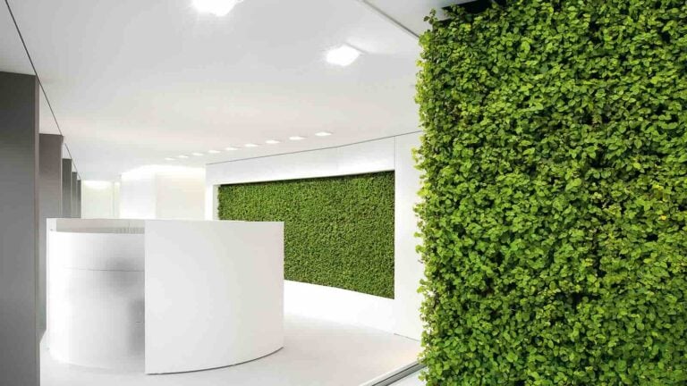 Artaqua Mooswand für eine bessere Raumluft & Wohlbefinden der Mitarbeiter sowie Besucher